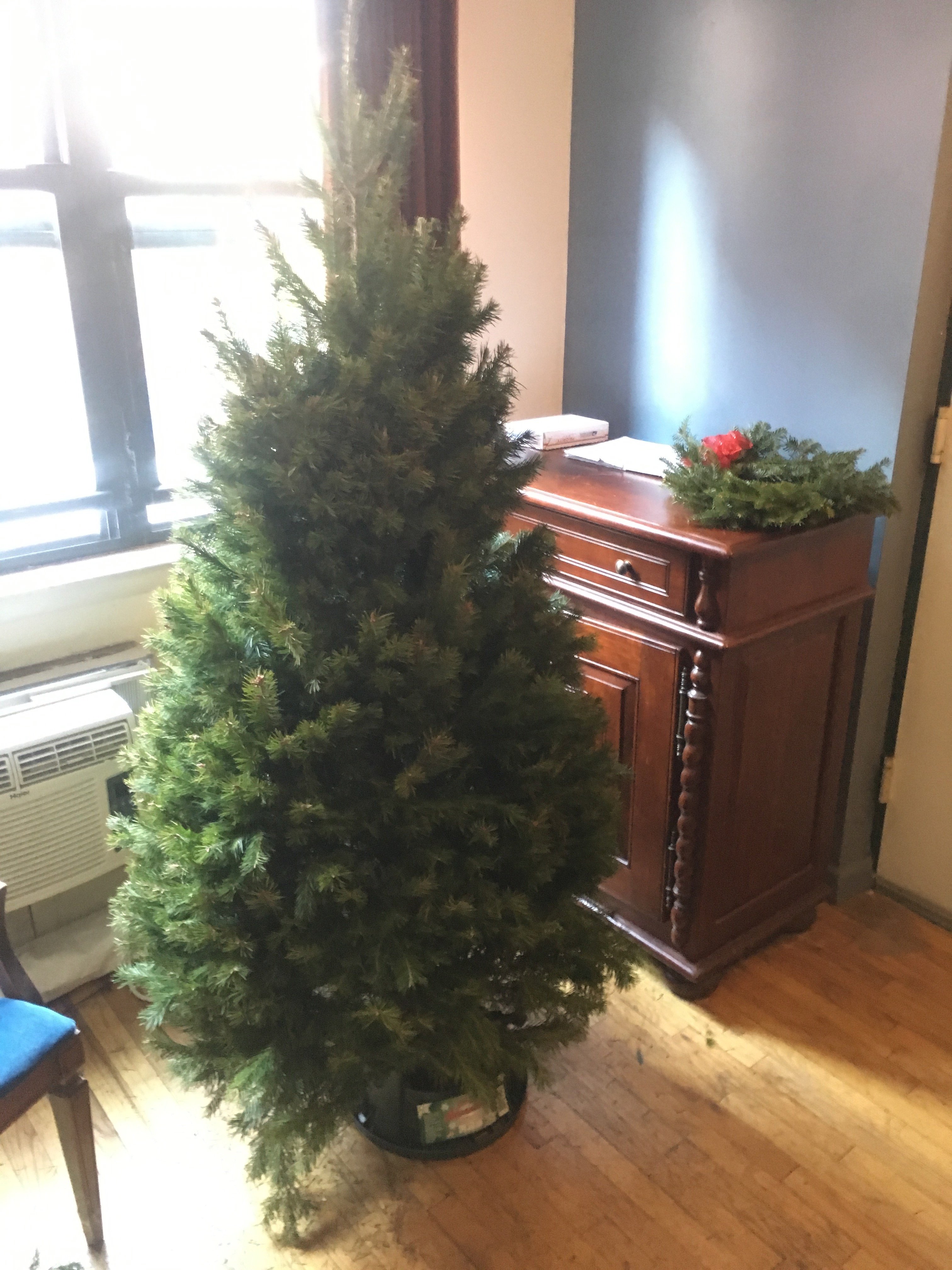 My first Christmas Tree