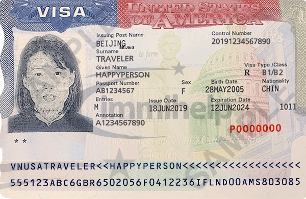 us visa travel document number