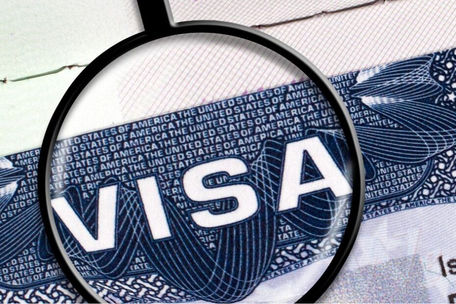 E3 Visa Data: Q2 2024 (Department of Labor Analysis)